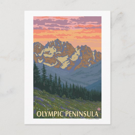 Olympisch schiereiland, Washington Spring Flowers Briefkaart (Voorkant)