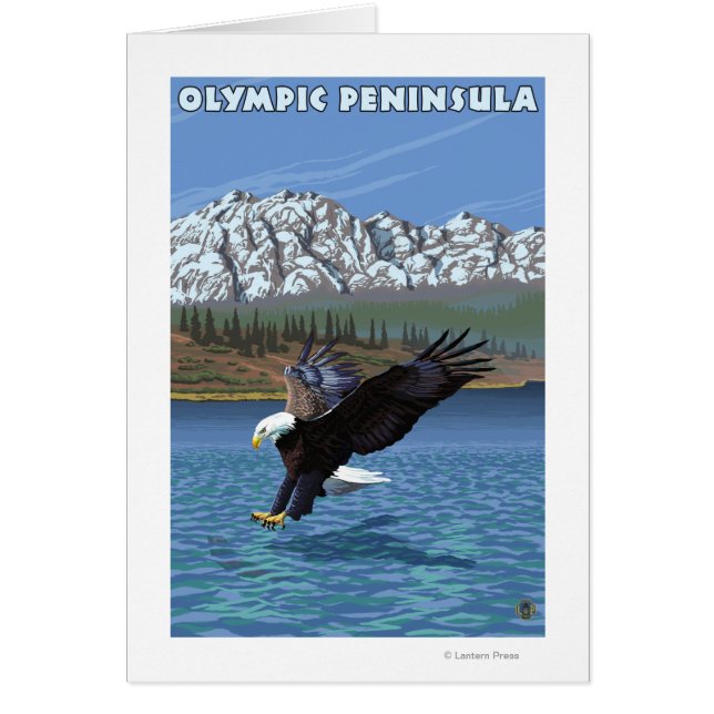 Olympisch schiereiland, WashingtonFishing Eagle (Voorkant)