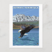 Olympisch schiereiland, WashingtonFishing Eagle Briefkaart (Voorkant)