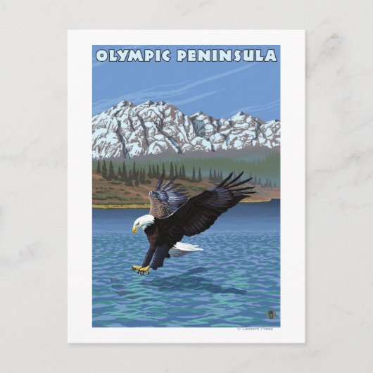 Olympisch schiereiland, WashingtonFishing Eagle Briefkaart (Voorkant)