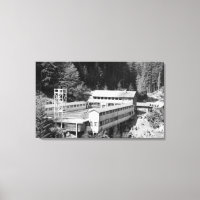 Olympische Hot Springs, WA Lodge Uitzicht Foto #1