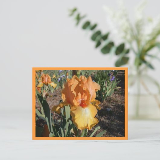 olympische uitdaging briefkaart (Staand voorkant)