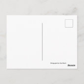 Olympos Karpathos, Griekenland, met tekst Briefkaart (Achterkant)