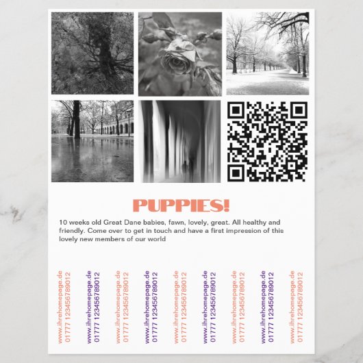 Om Dane Puppies Flyer te verkopen (Voorkant)