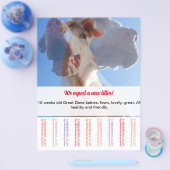 Om Dane Puppies Flyer te verkopen (Enkel)