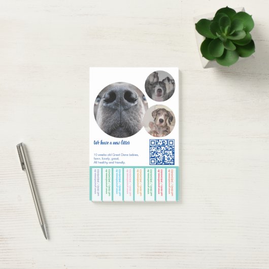 Om Dane Puppies kleurvol te verkopen Post-it® Notes (Kantoor)