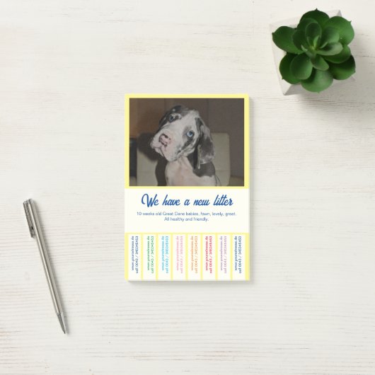 Om Dane Puppies kleurvol te verkopen Post-it® Notes (Kantoor)