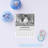 Om Dane Puppies te verkopen Flyer (Enkel)