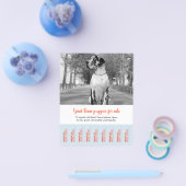 Om Dane Puppies te verkopen Flyer (Enkel)