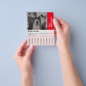 Om Dane Puppies te verkopen Flyer (Hand)