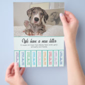 Om Dane Puppies te verkopen, kleurvolle brochure (Hand)