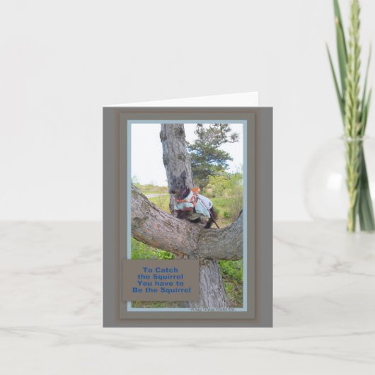 Om de Eekhoorn Kaart te vangen (Voorkant)