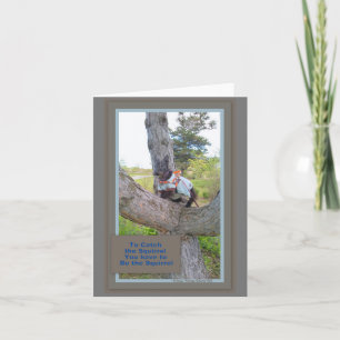 Om de Eekhoorn Kaart te vangen