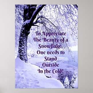 Om de schoonheid van een Snowflake te waarderen Poster