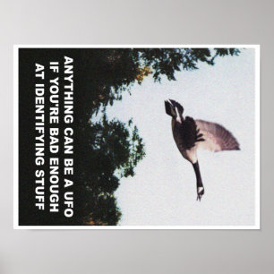 Om het even wat kan een (kleine) UFO zijn Poster