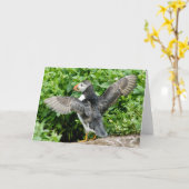 Om het even welk Wenskaart van de Papegaaiduiker Kaart (Gele Bloem)