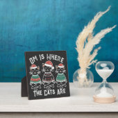 Om is waar de katten feestelijk zijn fotoplaat (Insitu)