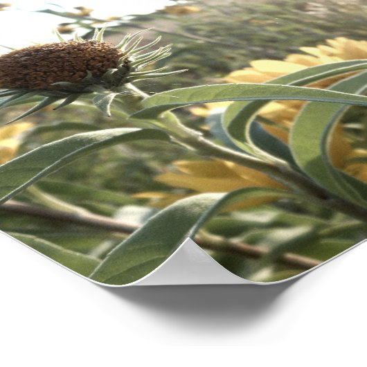 Om je soep te laten groeien poster (Hoek)