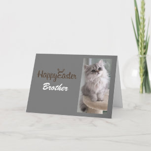 OM ** MIJN BROER ** MET EEN SPECIAAL KITTEN VOOR J FEESTDAGEN KAART
