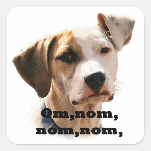 Om, nom, nom, nom. vierkante sticker (Voorkant)