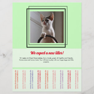 Om Puppies brochure te verkopen