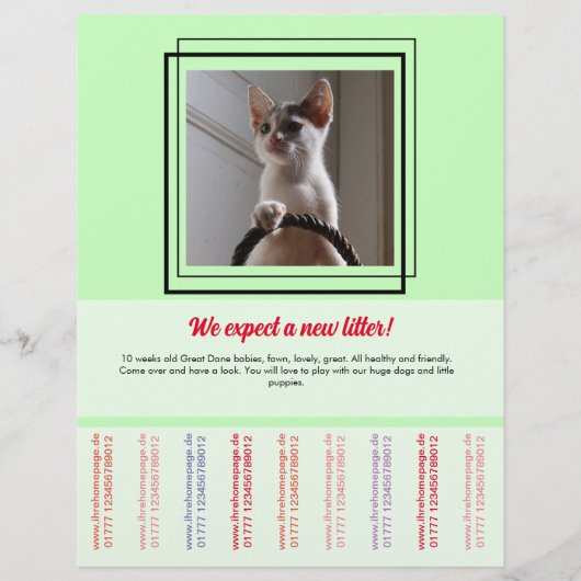 Om Puppies brochure te verkopen (Voorkant)