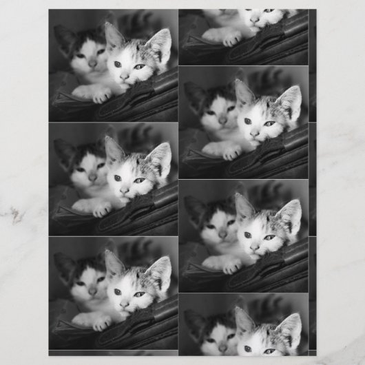 Om Puppies brochure te verkopen (Achterkant)