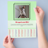 Om Puppies brochure te verkopen (Hand)