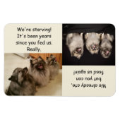 Om te voeden of niet te voeden is de vraagmagneet magneet (Horizontaal)