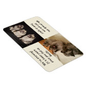 Om te voeden of niet te voeden is de vraagmagneet magneet (Rechterzijde)