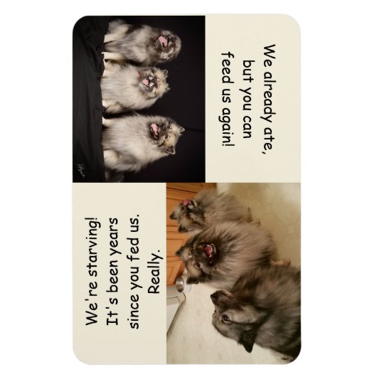 Om te voeden of niet te voeden is de vraagmagneet magneet (Verticaal)