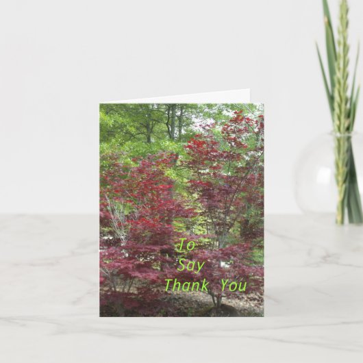 Om te zeggen bedankt (Voorkant)