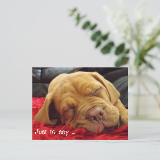 Om te zeggen: .... briefkaart (Staand voorkant)