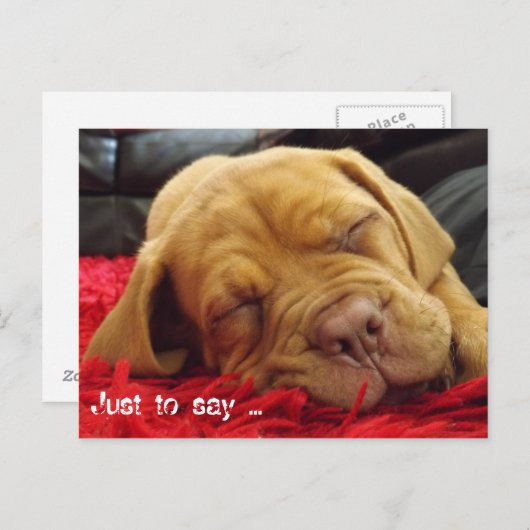 Om te zeggen: .... briefkaart (Voorkant / Achterkant)