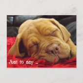 Om te zeggen: .... briefkaart (Voorkant)