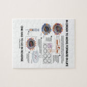 Om vooruit te gaan in het leven, ga je terug in de legpuzzel (Horizontaal)