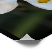 Om zelf echt inspirerend citaat te zijn poster (Hoek)