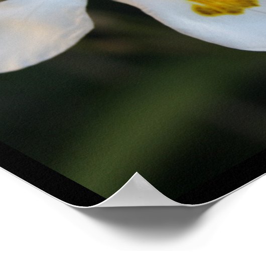 Om zelf echt inspirerend citaat te zijn poster (Hoek)