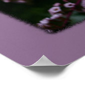 Om zelf witte gerbera maisy flower print te zijn (Hoek)