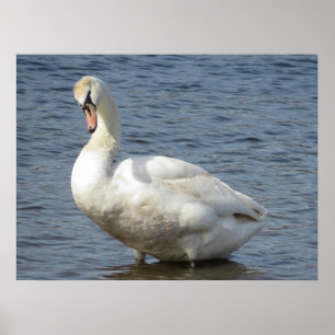 Om zich heen kijkend poster