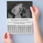 Om Zwart Witte Puppies Flyer te verkopen (Hand)