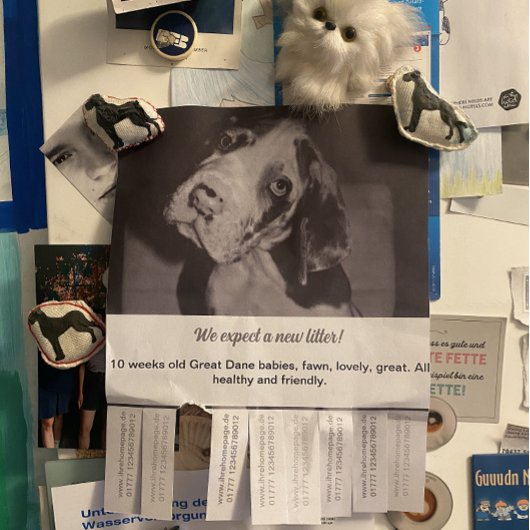 Om Zwart Witte Puppies Flyer te verkopen