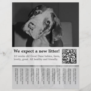 Om Zwarte Witte Puppies Flyer te verkopen