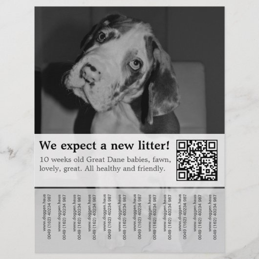 Om Zwarte Witte Puppies Flyer te verkopen (Voorkant)