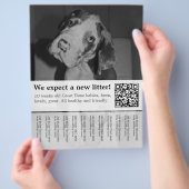 Om Zwarte Witte Puppies Flyer te verkopen (Hand)