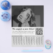 Om Zwarte Witte Puppies Flyer te verkopen (Enkel)