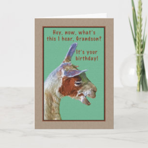 Oma, Birthday, Laughing Llama Card Kaart