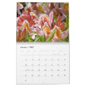 OMA HEEFT BaSLEE AZALEAS & Rhodies KALENDER CADOS (Jan 2027)