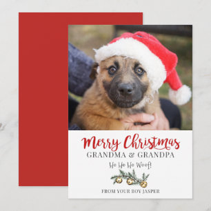 Oma Opa Kerstmis Van Hond Feestdagenkaart