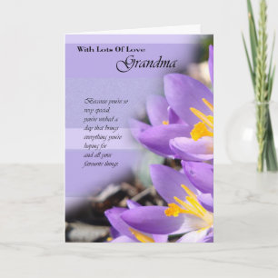 Oma paarse crocus Birthday Card Kaart